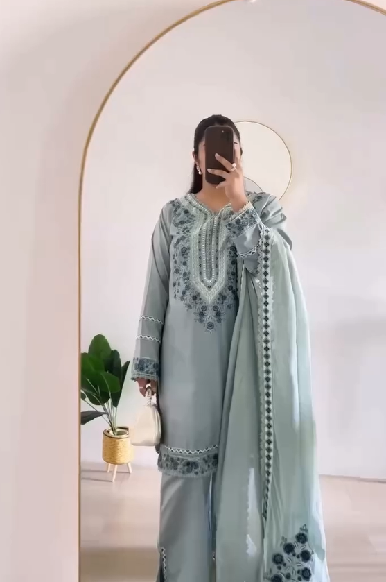 Powder Blue Embroidered Suit Set